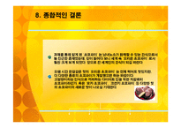 오리온 초코파이의 러시아 진출 성공전략-20