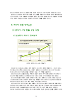 오리온 초코파이의 러시아 진출 성공전략-10