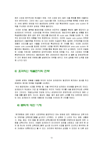 오리온 초코파이의 러시아 진출 성공전략-13
