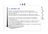 싸이월드 글로벌 성공 및 실패사례-18