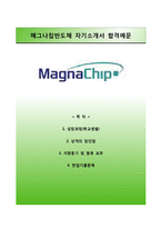 [매그나칩반도체자기소개서] 매그나칩반도체 대학생마케팅인턴십 합격자소서와 면접족보,매그나칩반도체인턴자기소개서,매그나칩반도체자소서항목-1