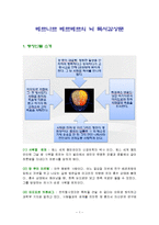 베르나르 베르베르의 뇌 독서감상문-1