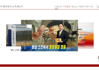 농심 신라면 브랜드 환경분석과 신라면 마케팅 SWOT,STP,4P 전략분석 PPT 레포트-13