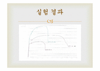 [재료공학 실험] 기계적 특성 평가 - 인장시험-19