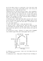 재료공학실험 - 인장시험-2