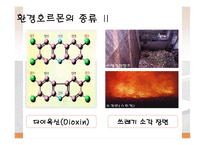 환경 공학 - Environmental Hormone(환경호르몬)에 관해서-6