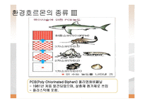 환경 공학 - Environmental Hormone(환경호르몬)에 관해서-7