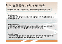 환경 공학 - Environmental Hormone(환경호르몬)에 관해서-10