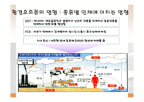 환경 공학 - Environmental Hormone(환경호르몬)에 관해서-11