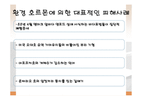 환경 공학 - Environmental Hormone(환경호르몬)에 관해서-13