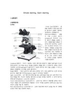 미생물학 실험 - Simple staining(단순염색), Gram staining(그람염색) 실험-1