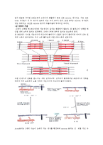 운동생리학 - 에너지 생성시스템 정리 및 골격근의 미세구조와 근 수축 기전 정리-5