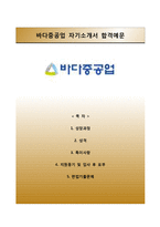 [바다중공업자기소개서] 바다중공업 자소서와 면접예상문제-1