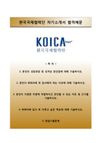[한국국제협력단자기소개서] 한국국제협력단 인턴자소서+면접기출문제-1