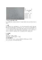 미세조직 실험 - 경도 실험-6
