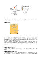 개인 스포츠 - 볼링에 모든것-10