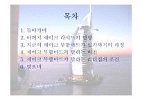 두바이(셰이크 무함마드) 비전과 리더십-2