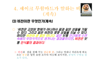 두바이(셰이크 무함마드) 비전과 리더십-13