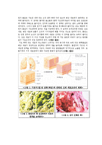 흡연과 영양 - 담배가 인체에 미치는 영향-5