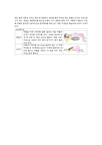 모성간호학 - 제왕절개와 둔위 문헌고찰-6