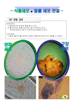 생명공학 - 세포의 관찰-4