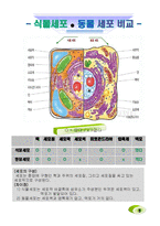 생명공학 - 세포의 관찰-5