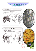 생명공학 - 세포의 관찰-10