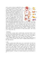 성의 생물학 - 남성호르몬과 여성 호르몬에 대하여-2