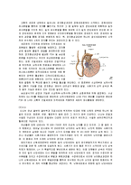 성의 생물학 - 남성호르몬과 여성 호르몬에 대하여-3