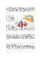 성의 생물학 - 남성호르몬과 여성 호르몬에 대하여-4