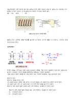 물리학 실험 - 전자기 유도-2