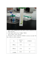생물학 실험 - 크로마토 그래피를 이용한 잎의 색소분리 실험-3