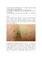 생물학실험 - 광학현미경을 이용한 식물세포와 동물세포 관찰실험-2