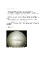 일반생물학 - 현미경의 구조와 기능 실험-3