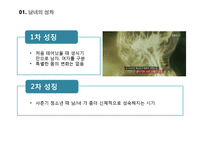 사회변동과 성역할-5