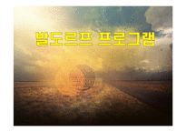 발도르프 프로그램-1