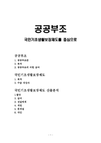 국민기초생활보장제도 산출분석(공공부조, 사회보장제도, 국민기초생활보장, 사회복지정책론)-1