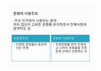 다문화관점(다문화주의, 문화적다원주의, 다문화사회, 다문화가정, 문화적다양성, 다문화복지실천)-7