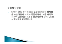 다문화관점(다문화주의, 문화적다원주의, 다문화사회, 다문화가정, 문화적다양성, 다문화복지실천)-11
