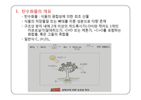 탄수화물 PPT 파워포인트(식품화학)-2