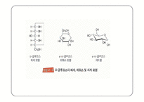 탄수화물 PPT 파워포인트(식품화학)-8