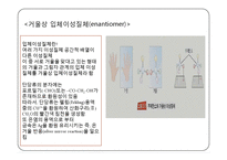 탄수화물 PPT 파워포인트(식품화학)-12