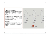 탄수화물 PPT 파워포인트(식품화학)-13