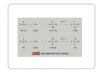탄수화물 PPT 파워포인트(식품화학)-17