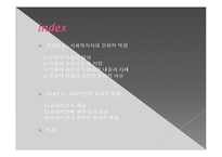 사회복지전문가의 역할및 기능관련 윤리적쟁점(사회복지사윤리쟁점, 슈퍼비젼윤리쟁점) PPT, 파워포인트-2