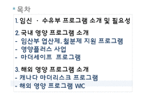 임신 수유부 영양프로그램(지역사회영양학, 국내영양프로그램, 철분제지원, 영양플러스, 마더세이프사업, 해외영양프로그램) PPT, 파워포인트-2