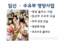 임신 수유부 영양프로그램(지역사회영양학, 국내영양프로그램, 철분제지원, 영양플러스, 마더세이프사업, 해외영양프로그램) PPT, 파워포인트-4