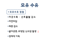 임신 수유부 영양프로그램(지역사회영양학, 국내영양프로그램, 철분제지원, 영양플러스, 마더세이프사업, 해외영양프로그램) PPT, 파워포인트-7