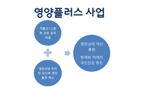임신 수유부 영양프로그램(지역사회영양학, 국내영양프로그램, 철분제지원, 영양플러스, 마더세이프사업, 해외영양프로그램) PPT, 파워포인트-9