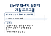 임신 수유부 영양프로그램(지역사회영양학, 국내영양프로그램, 철분제지원, 영양플러스, 마더세이프사업, 해외영양프로그램) PPT, 파워포인트-11
